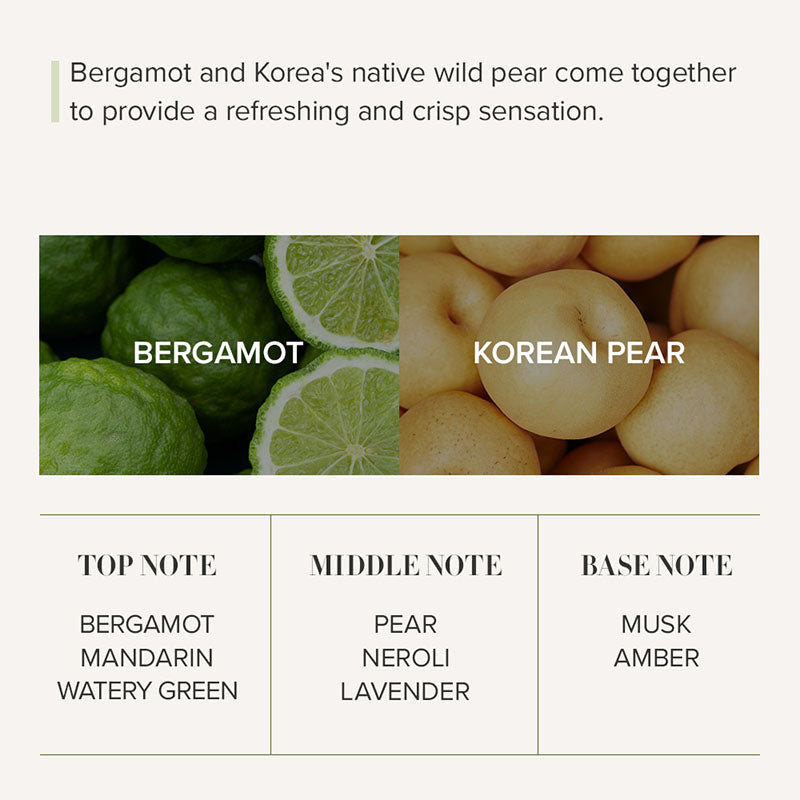 Seoul Edition Hand Cream